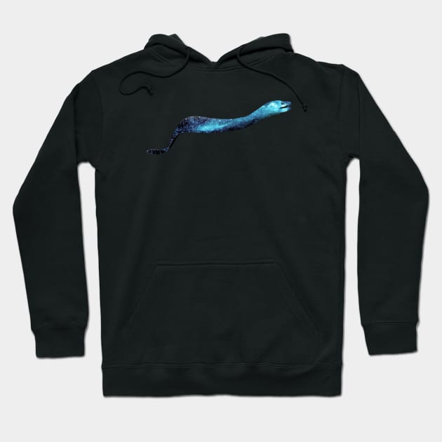 Galaxy Eel Hoodie by Kristal Stittle